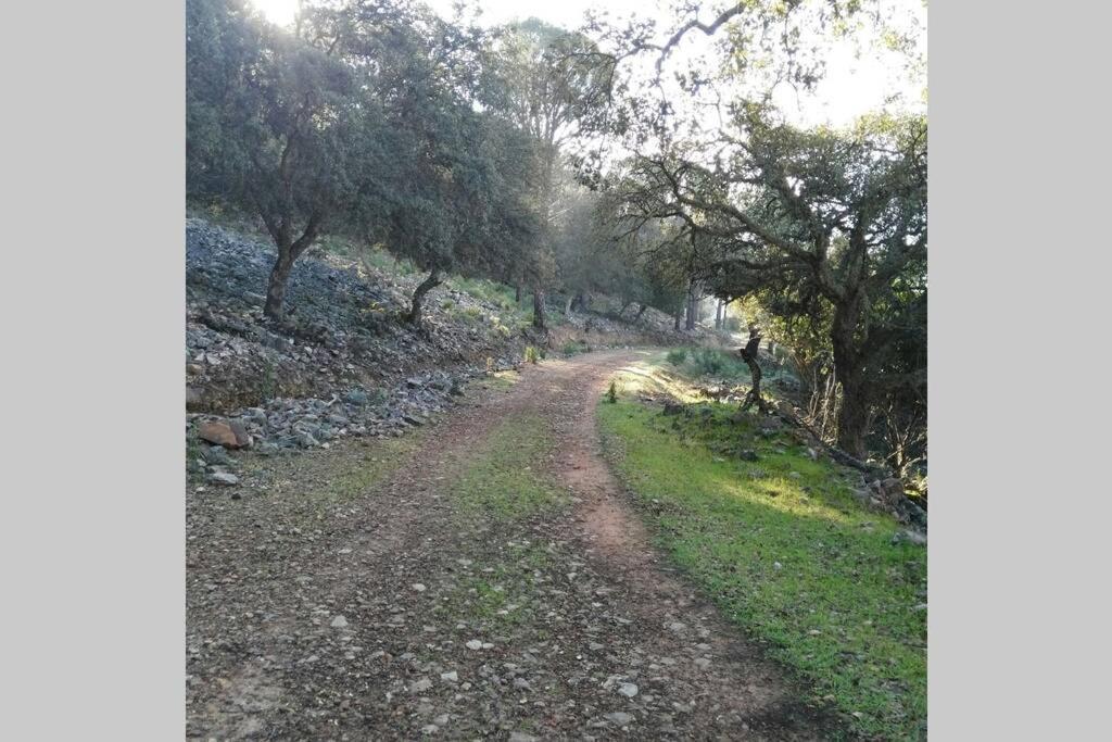 Pantano de Cijara Casa Cijararuralヴィラ エクステリア 写真